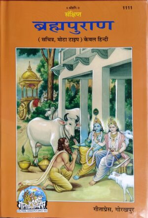 Shri Brahma Puran – Code 1111 (Hindi Edition)