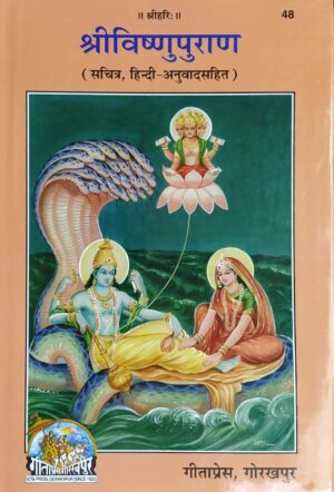 Shri Vishnu Puran – Code 48 (Hindi Edition)